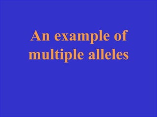 An example of
multiple alleles
 