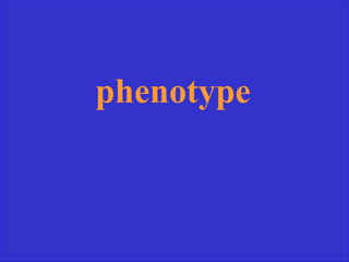 phenotype
 