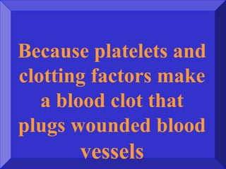 Because platelets and
clotting factors make
a blood clot that
plugs wounded blood
vessels
 