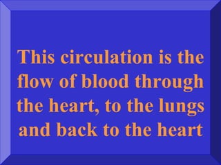 This circulation is the
flow of blood through
the heart, to the lungs
and back to the heart
 