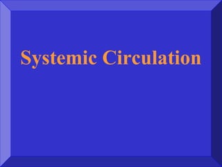 Systemic Circulation
 