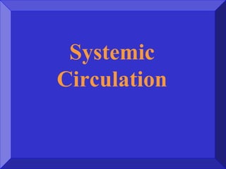 Systemic
Circulation
 