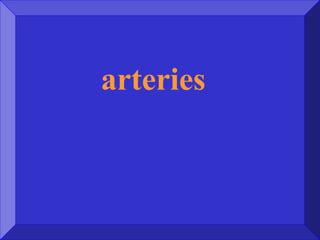 arteries
 