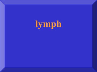 lymph
 