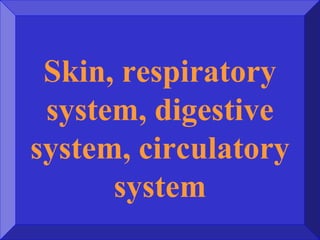 Skin, respiratory
system, digestive
system, circulatory
system
 