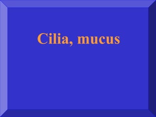 Cilia, mucus
 