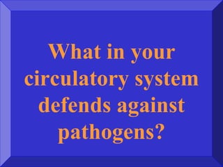 What in your
circulatory system
defends against
pathogens?
 