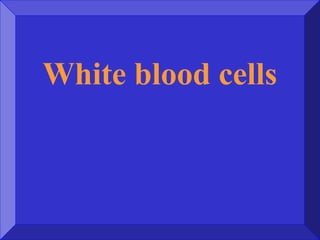 White blood cells
 