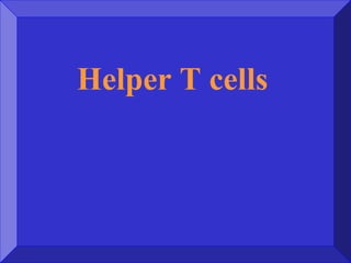 Helper T cells
 