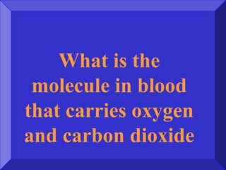 What is the
molecule in blood
that carries oxygen
and carbon dioxide
 