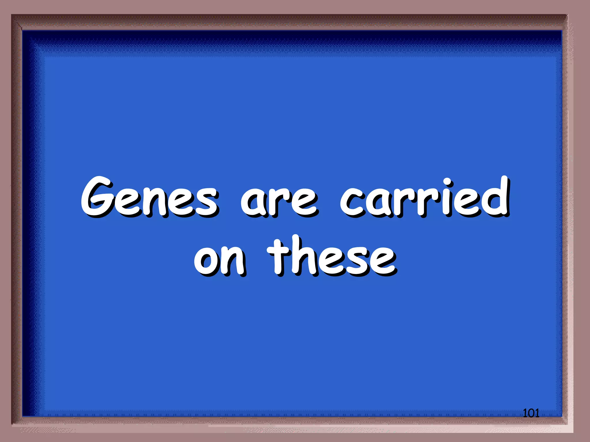 Genes are carried
    on these

                    101
 