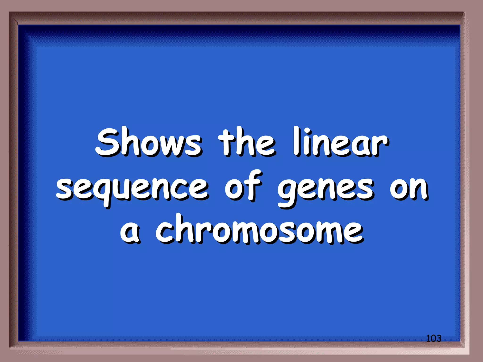 Shows the linear
sequence of genes on
   a chromosome

                   103
 