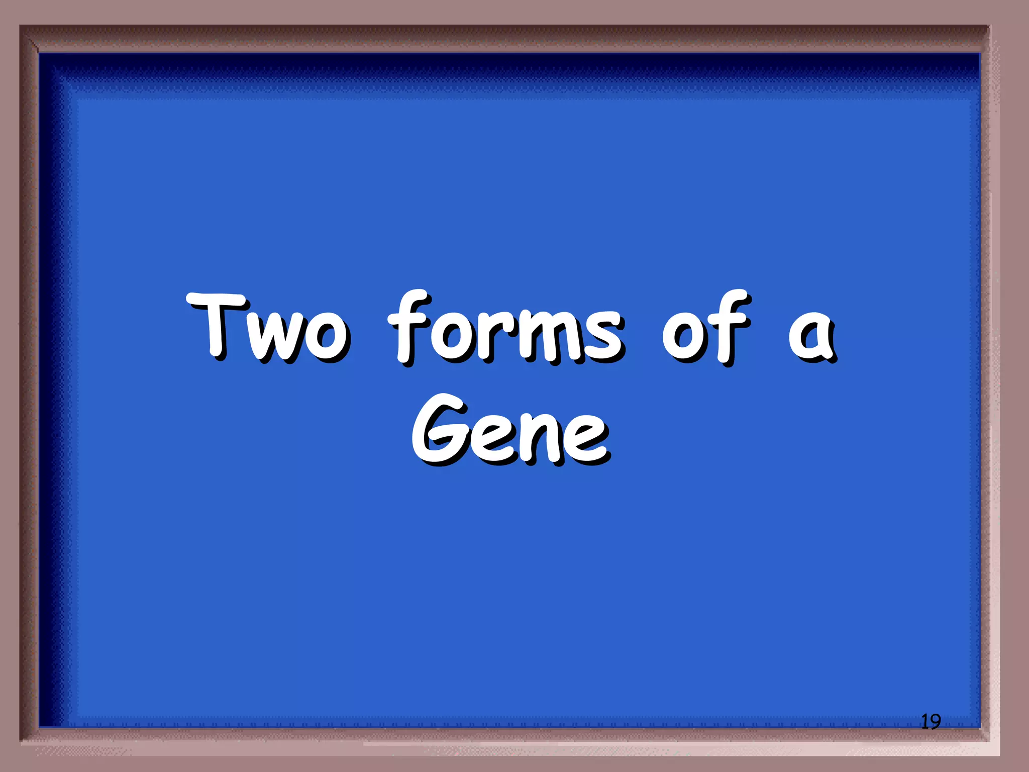 Two forms of a
     Gene


                 19
 