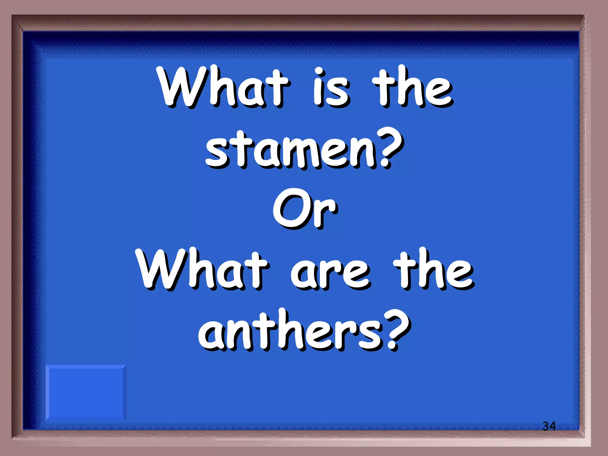 What is the
  stamen?
     Or
What are the
 anthers?
               34
 