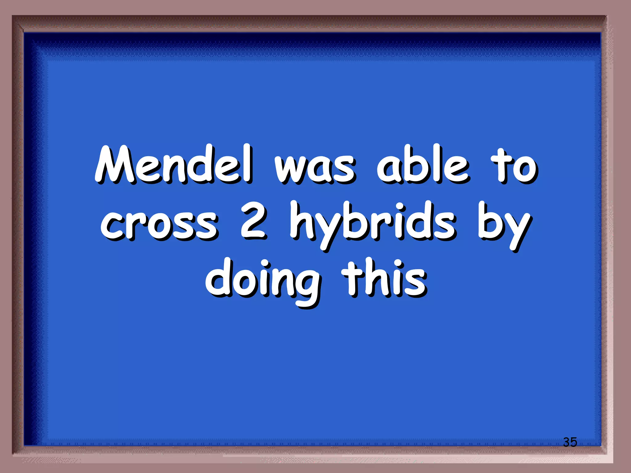 Mendel was able to
cross 2 hybrids by
    doing this


                     35
 