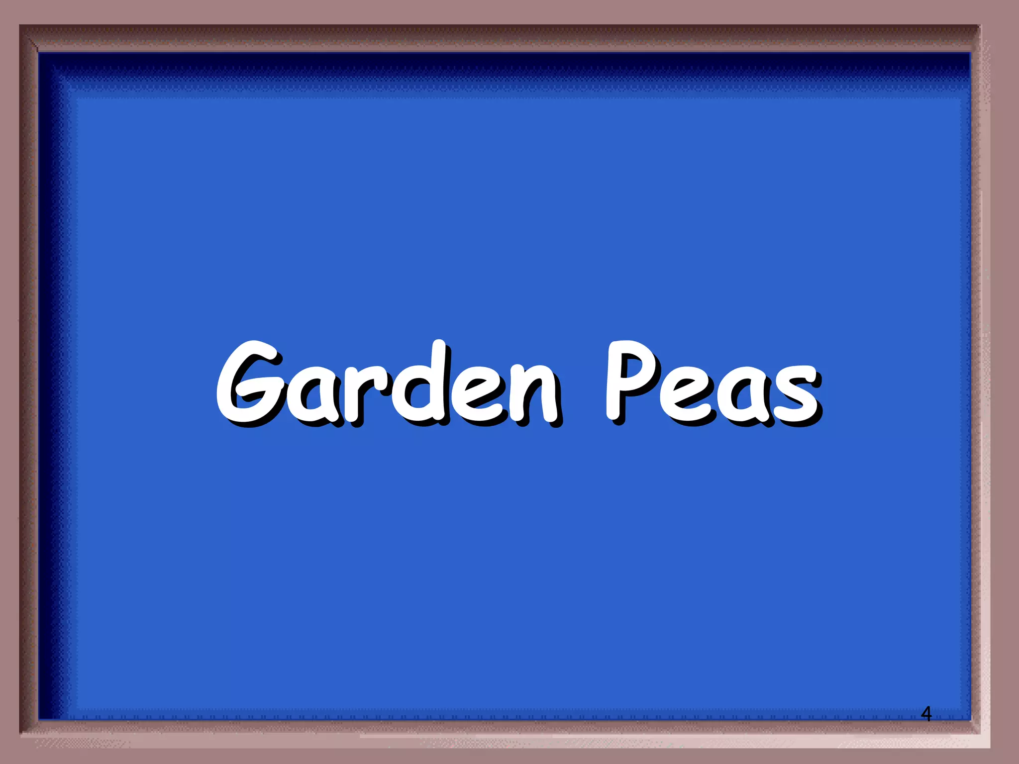 Garden Peas

              4
 