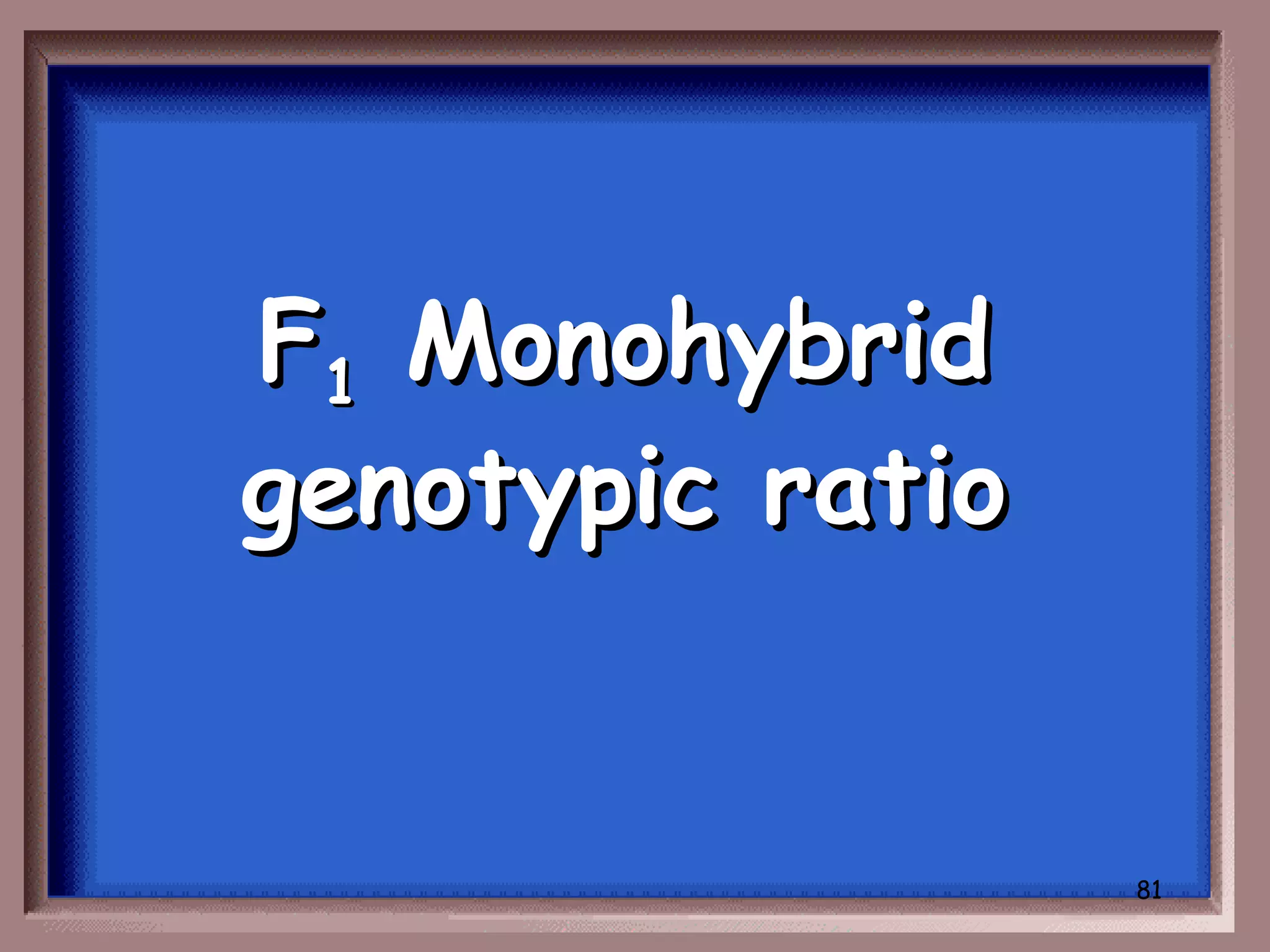 F1 Monohybrid
genotypic ratio


                  81
 