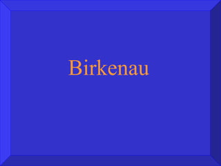 Birkenau  