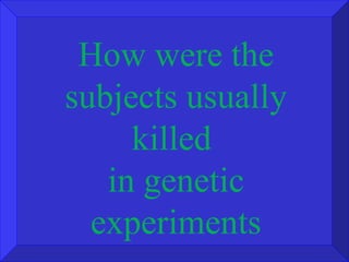 How were the subjects usually killed  in genetic experiments 
