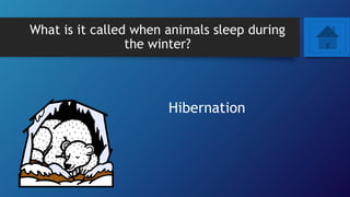 What is it called when animals sleep during
the winter?
Hibernation
 