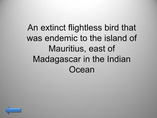 An extinct flightless bird that
was endemic to the island of
Mauritius, east of
Madagascar in the Indian
Ocean
 