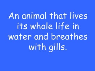 An animal that lives
  its whole life in
water and breathes
     with gills.
 