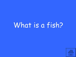 What is a fish?
 