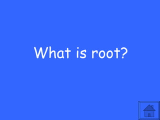 What is root?
 