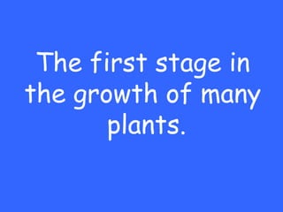 The first stage in
the growth of many
       plants.
 