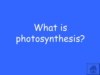 What is
photosynthesis?
 