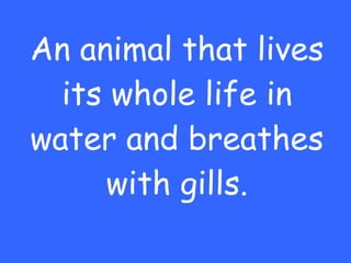 An animal that lives its whole life in water and breathes with gills. 