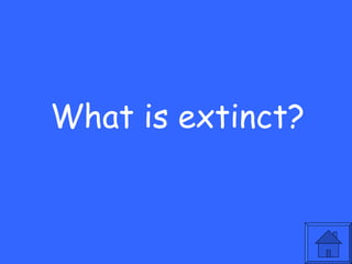 What is extinct? 