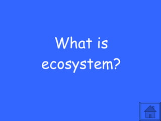 What is ecosystem? 