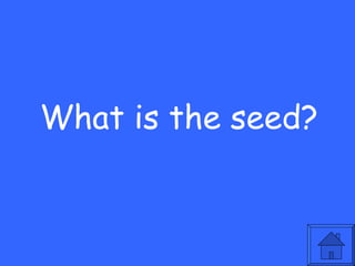 What is the seed? 