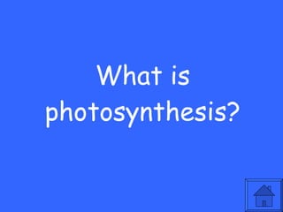 What is photosynthesis? 