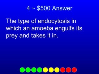 4 ~ $500 Answer
The type of endocytosis in
which an amoeba engulfs its
prey and takes it in.

 