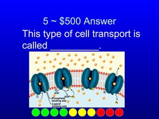 5 ~ $500 Answer
This type of cell transport is
called _________.

 