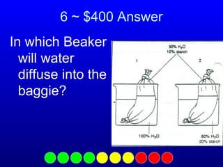 6 ~ $400 Answer
In which Beaker
will water
diffuse into the
baggie?

 