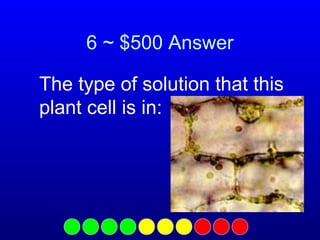 6 ~ $500 Answer
The type of solution that this
plant cell is in:

 