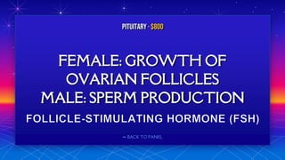 ⬅ BACK TO PANEL
FEMALE: GROWTH OF
OVARIAN FOLLICLES
MALE: SPERM PRODUCTION
PITUITARY · $800
 