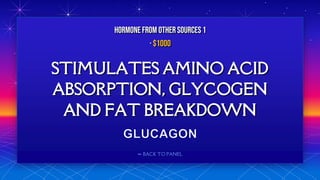 ⬅ BACK TO PANEL
STIMULATES AMINO ACID
ABSORPTION, GLYCOGEN
AND FAT BREAKDOWN
HORMONE FROM OTHERSOURCES 1
· $1000
 