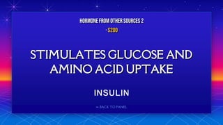⬅ BACK TO PANEL
STIMULATES GLUCOSE AND
AMINO ACID UPTAKE
HORMONE FROM OTHERSOURCES 2
· $200
 