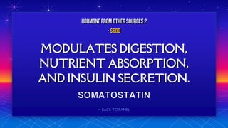 ⬅ BACK TO PANEL
MODULATES DIGESTION,
NUTRIENT ABSORPTION,
AND INSULIN SECRETION.
HORMONE FROM OTHERSOURCES 2
· $600
 