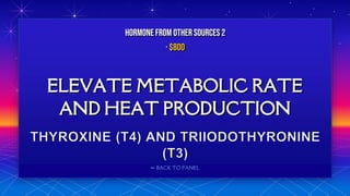 ⬅ BACK TO PANEL
ELEVATE METABOLIC RATE
AND HEAT PRODUCTION
HORMONE FROM OTHERSOURCES 2
· $800
 
