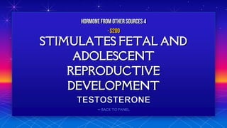 ⬅ BACK TO PANEL
STIMULATES FETAL AND
ADOLESCENT
REPRODUCTIVE
DEVELOPMENT
HORMONE FROM OTHERSOURCES 4
· $200
 