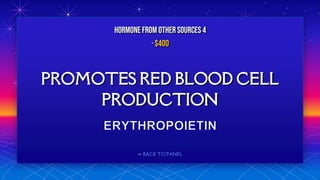 ⬅ BACK TO PANEL
PROMOTES RED BLOOD CELL
PRODUCTION
HORMONE FROM OTHERSOURCES 4
· $400
 