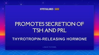 ⬅ BACK TO PANEL
PROMOTES SECRETION OF
TSH AND PRL
HYPOTHALAMUS· $600
 