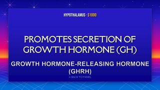 ⬅ BACK TO PANEL
PROMOTES SECRETION OF
GROWTH HORMONE (GH)
HYPOTHALAMUS· $1000
 