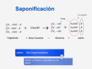       Triglicéridos Insaturadas