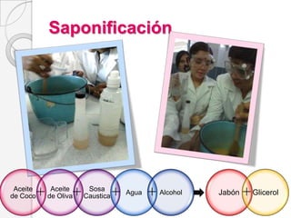       Insolubles en AguaAceite de OlivaAceite de Coco